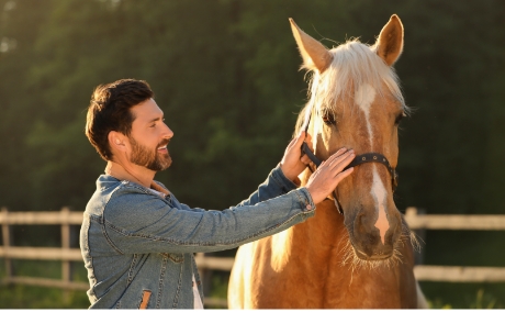 Man and Horse